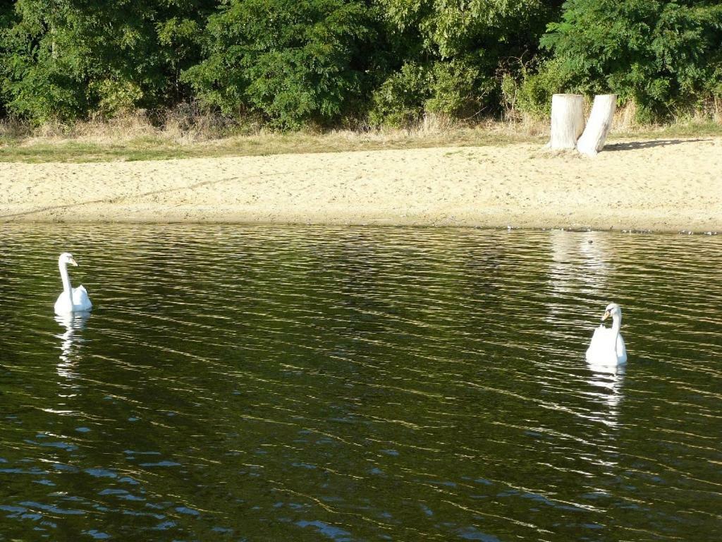 Osrodek Wypoczynkowy Sielawa Villa Chrzypsko Wielkie Bagian luar foto